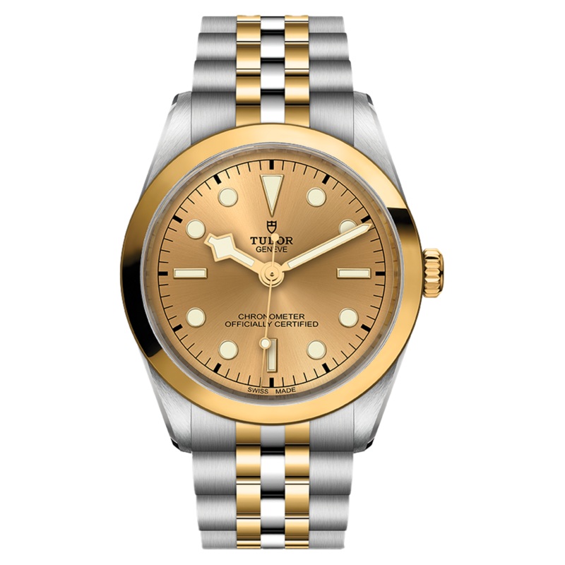 TUDOR Black Bay One 36 S&G (M79643-0005)