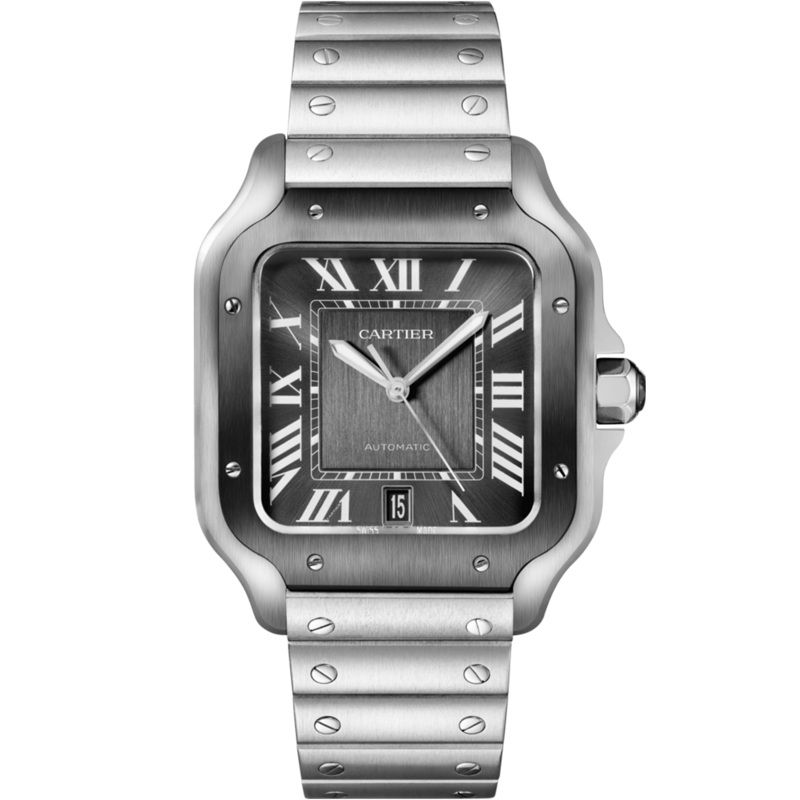 Cartier Santos de Cartier (WSSA0037)