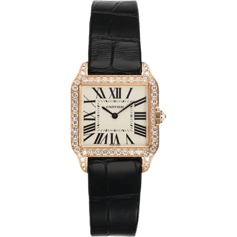 Pre-Owned Cartier Santos Dumont (WH100351)