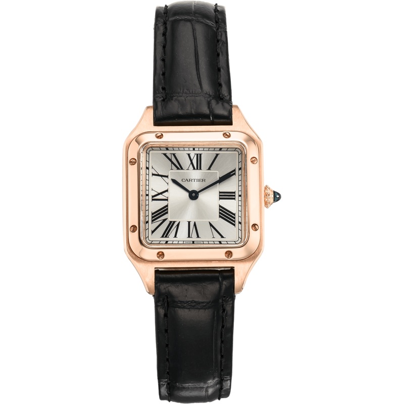 Pre-Owned Cartier Santos Dumont (WGSA0021)