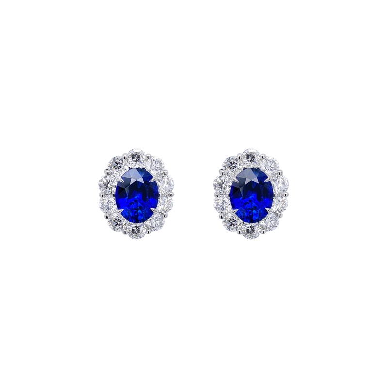 Oval Vivid Blue Sapphire Earrings – Bayco